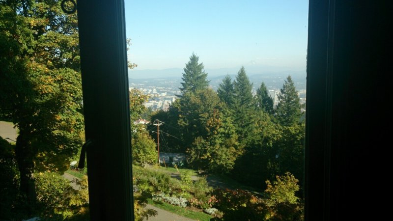 view3.jpg