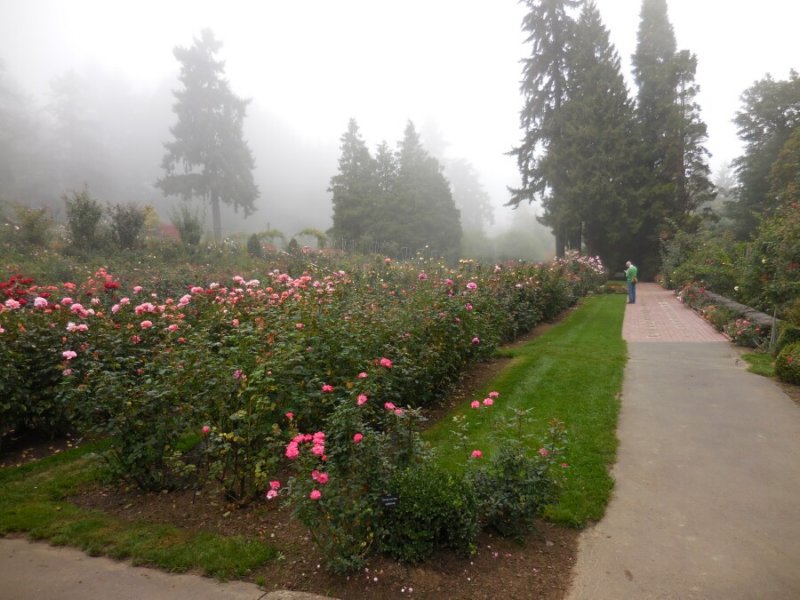 photo80.jpg