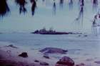 oahunorthshore_small.jpg
